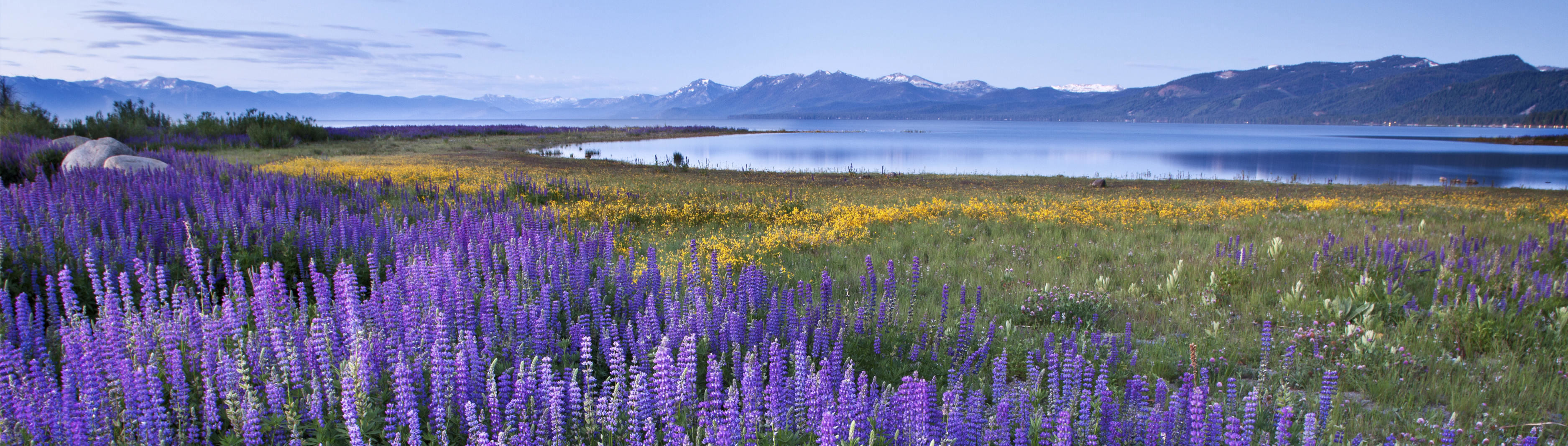 North Tahoe Lodging Specials Tahoe Rental Company