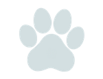 paw icon
