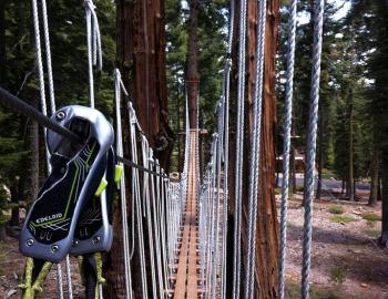 suspended bridge to walk on, bridge suspended high in the trees