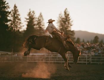 Rodeo rider on a bucking bronc kicking up dust in a pine-lined arena at golden hour