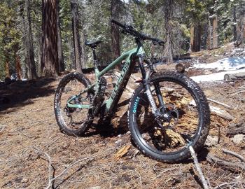 electric mountain bike in the woods
