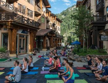 people doing yoga pose