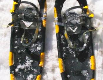 pair of yellow snowshoes