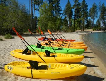 kayaks on the beach with paddles