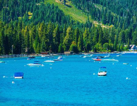 boats attached to buoys in lake tahoe waters