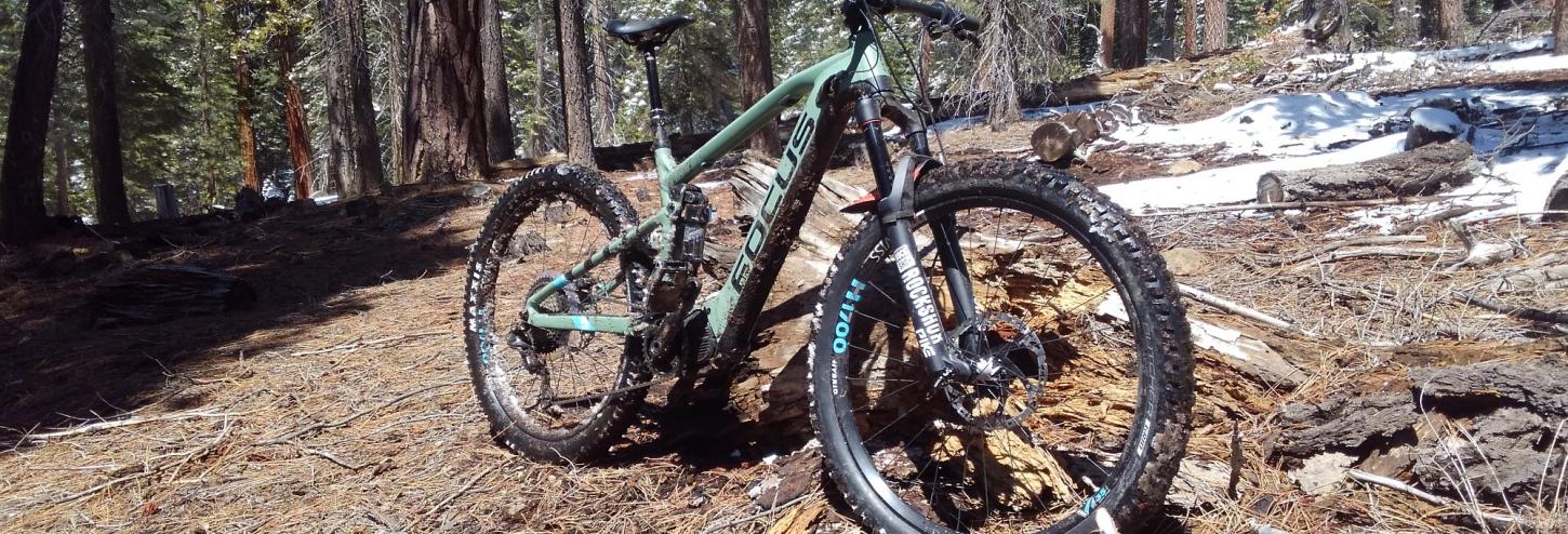 electric mountain bike in the woods leaning against a log