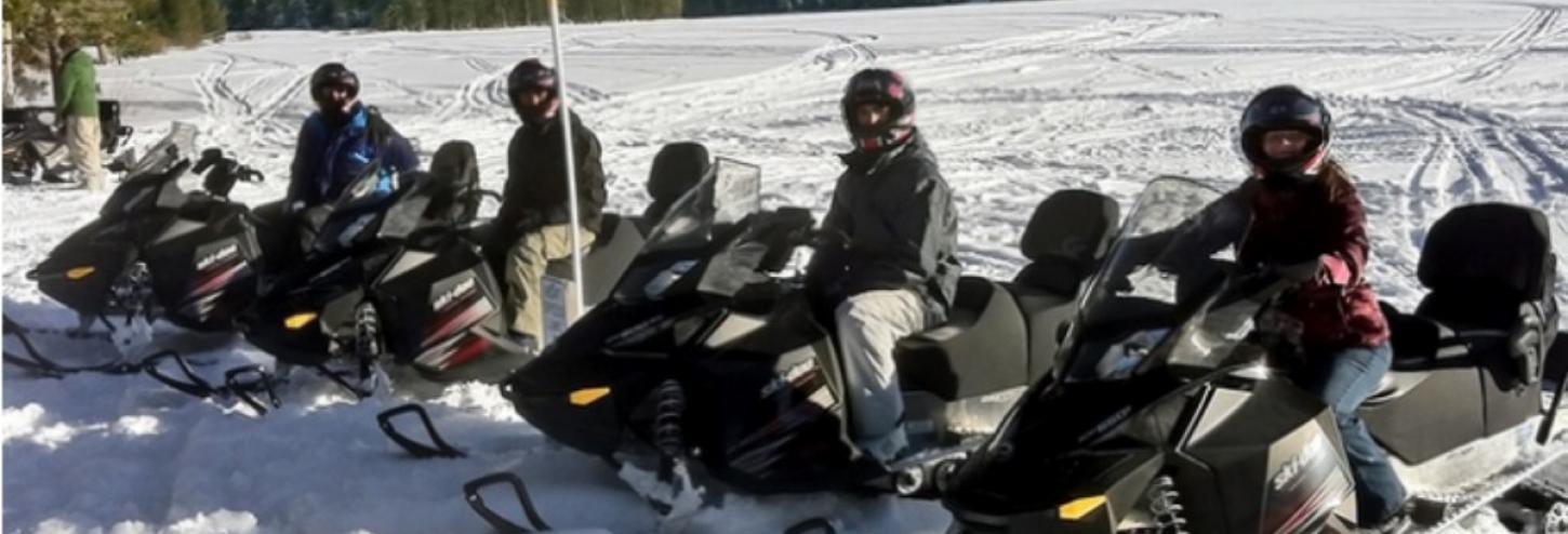 people on snowmobiles