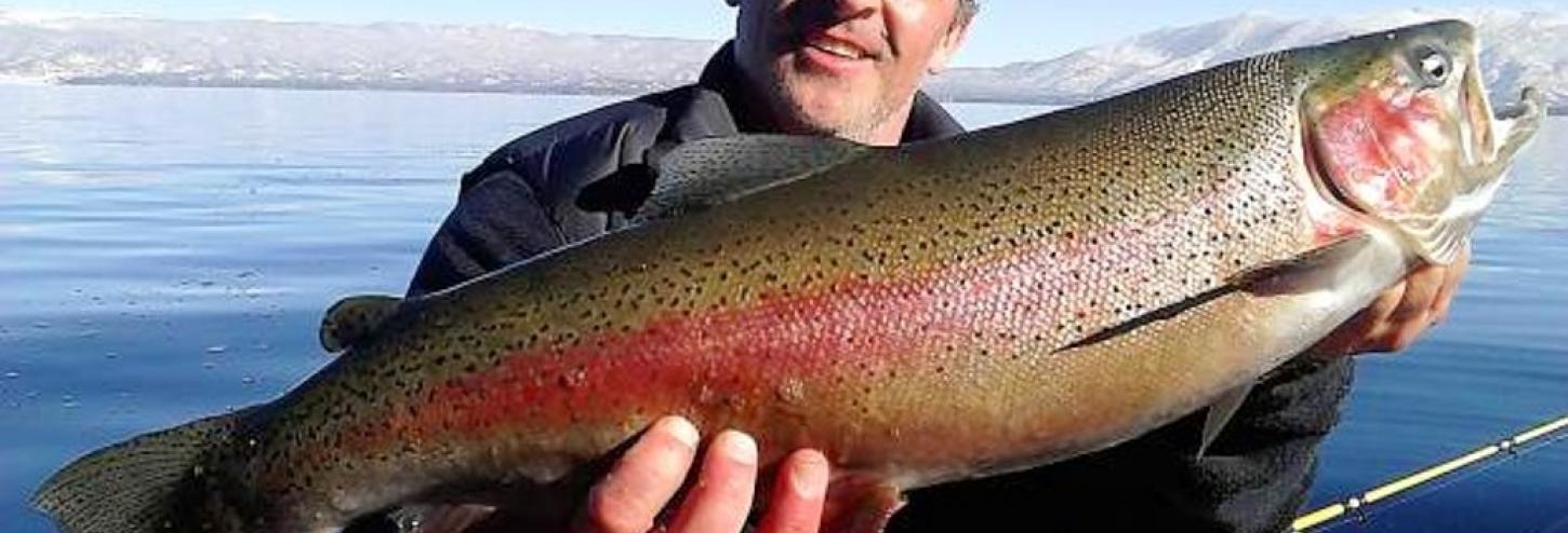 man holding large mackinaw fish from tahoe