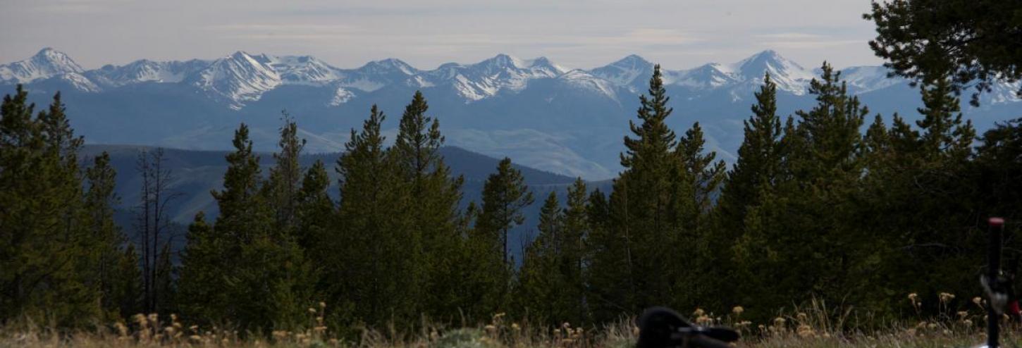 trail with mountain bike laying down overlooking view