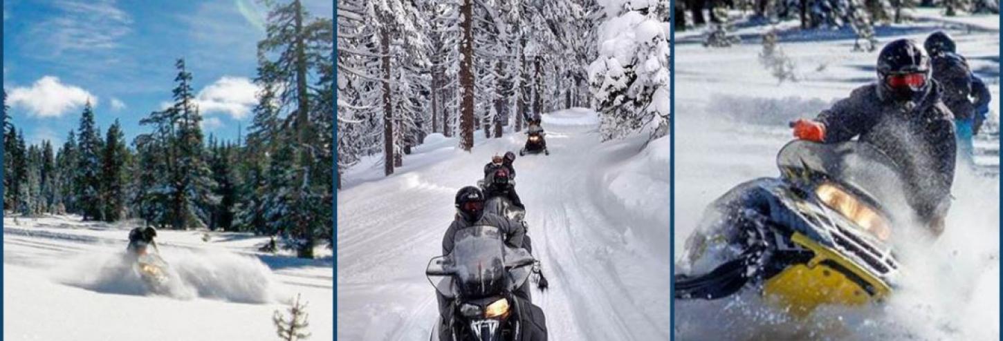 people on snowmobiles