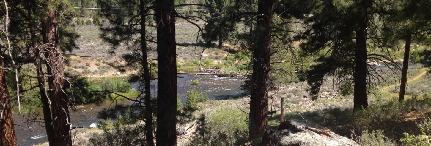 trail in truckee next to river