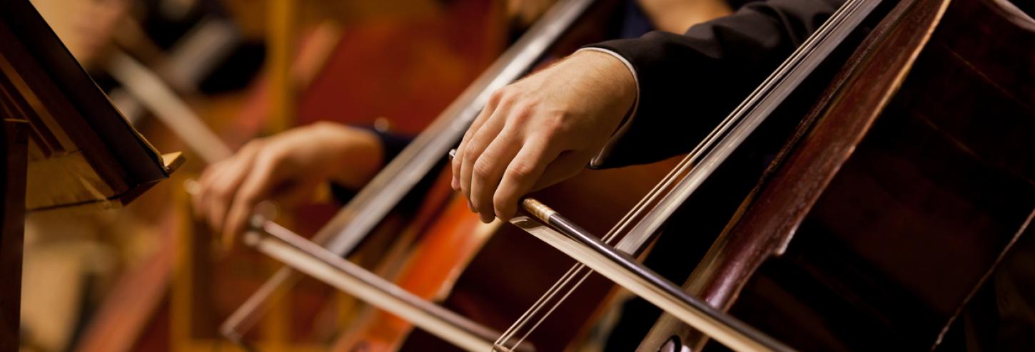 people playing large string instruments