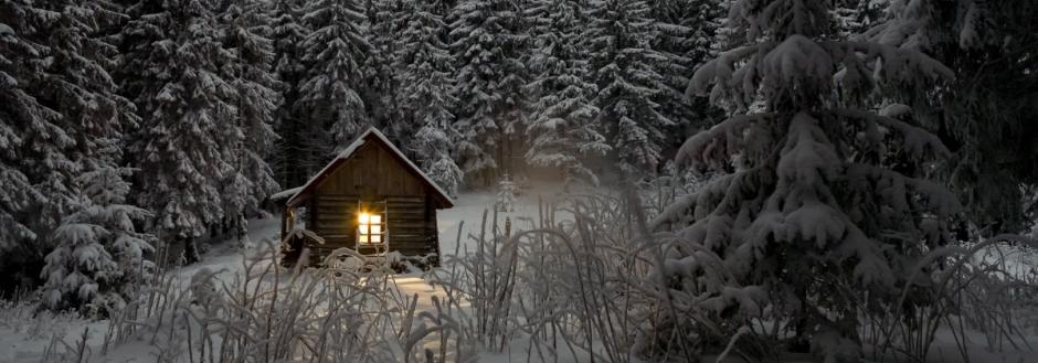 cabin surrounded by snow and trees
