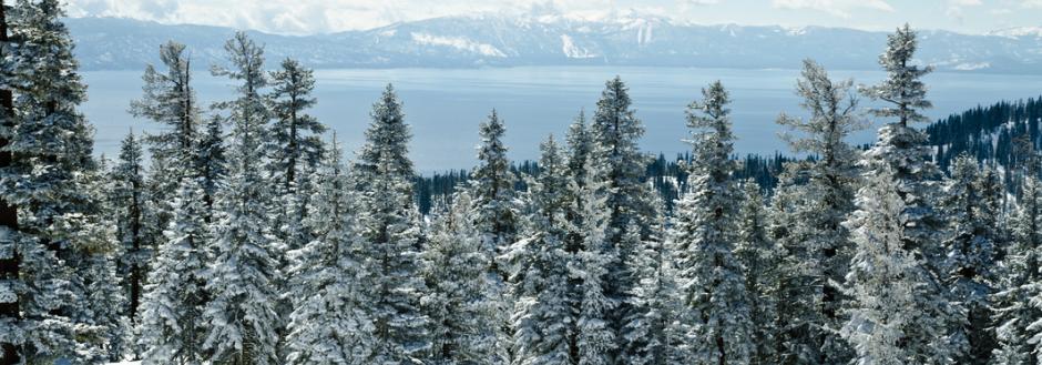 snow covered trees with lake in distant background