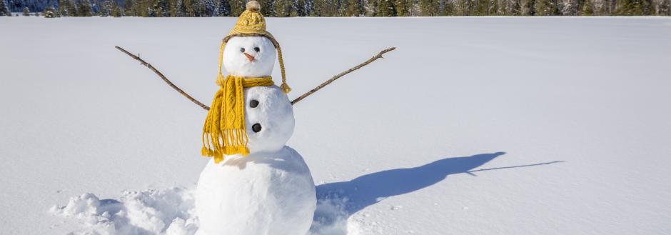 snowman with scarf and hat