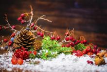 pinecones with red berries as a table centerpiece