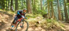 Downhill Mountain Biking Downhill Mountain Biking