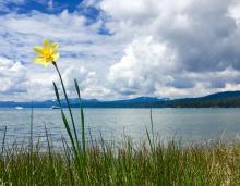 Stormy May in Lake Tahoe