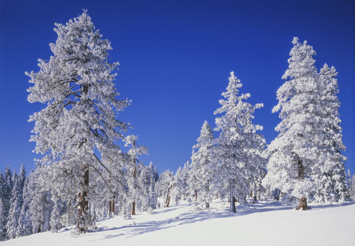 Lake Tahoe Winter Activities | Tahoe Rental Company