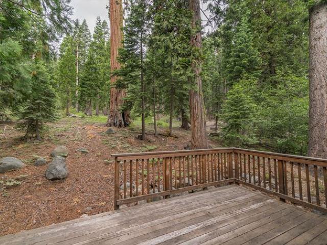 back deck overlooking forest setting