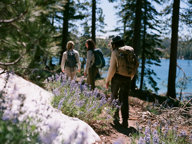 3 friends hiking through the Tahoe wilderness