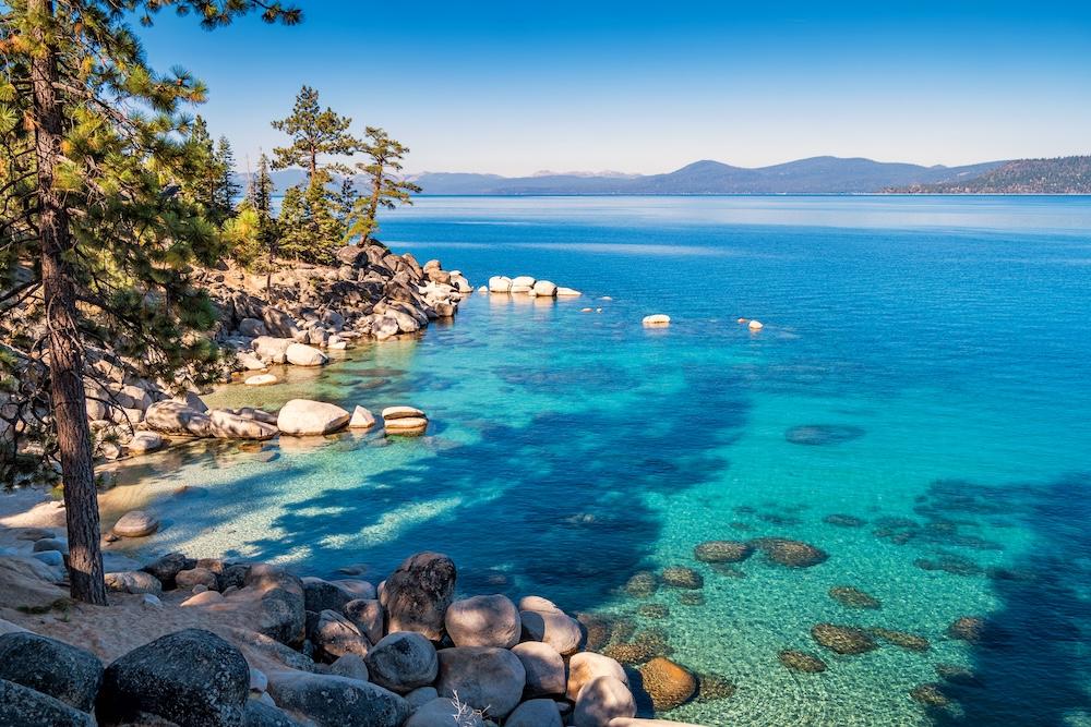 sunny day at lake tahoe showing clear water and trees
