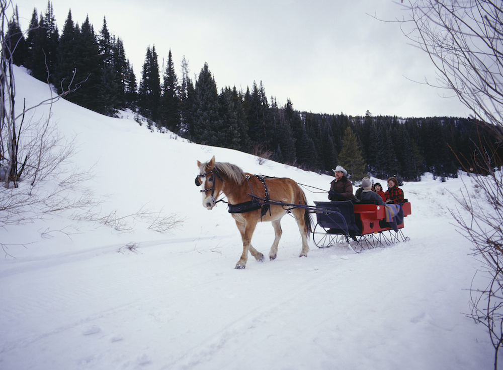 tahoe sleigh rides, horse-drawn sleigh rides tahoe