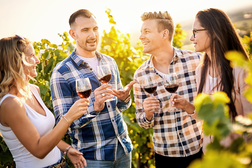 group of friends in a vineyard with wine glasses in hand